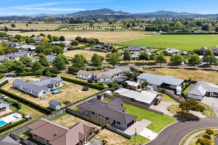 Photo of property in 26 Mckenzie Place, Matamata, 3400