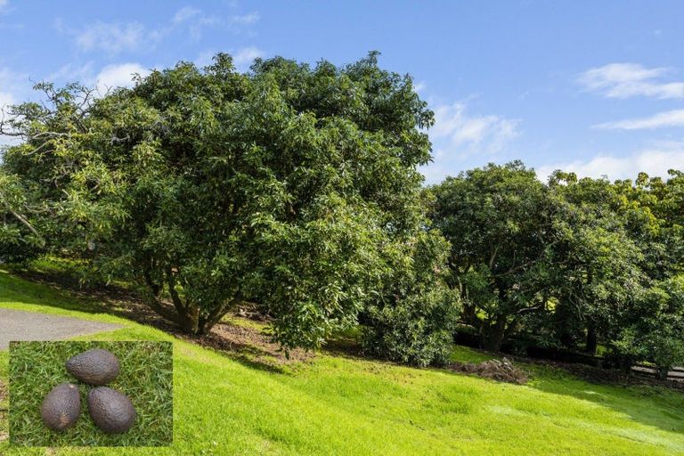 Photo of property in 10 Zapote Place, Ohauiti, Tauranga, 3112