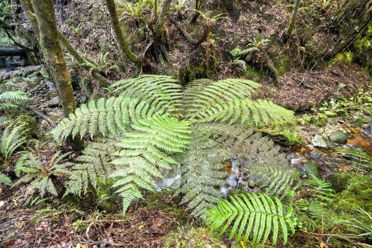 Photo of property in 67c Blue Spur Road, Blue Spur, Hokitika, 7882