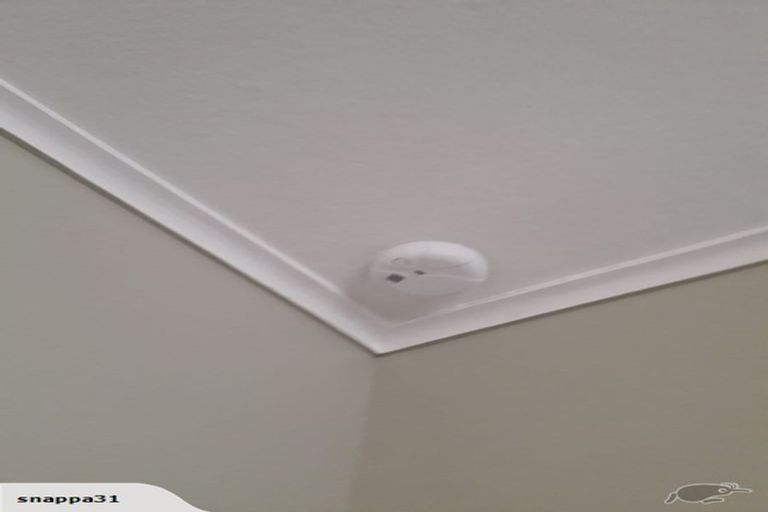 Photo of property in 141 Cornfoot Street, Castlecliff, Whanganui, 4501