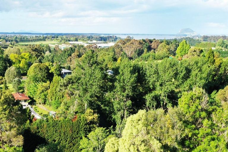 Photo of property in 39 Corbett Drive, Minden, Tauranga, 3176