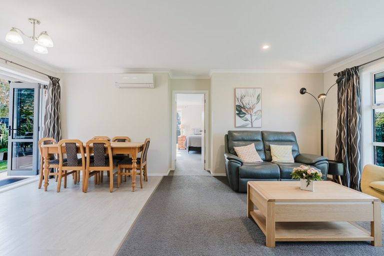 Photo of property in 48 Mansel Avenue, Hillcrest, Hamilton, 3216