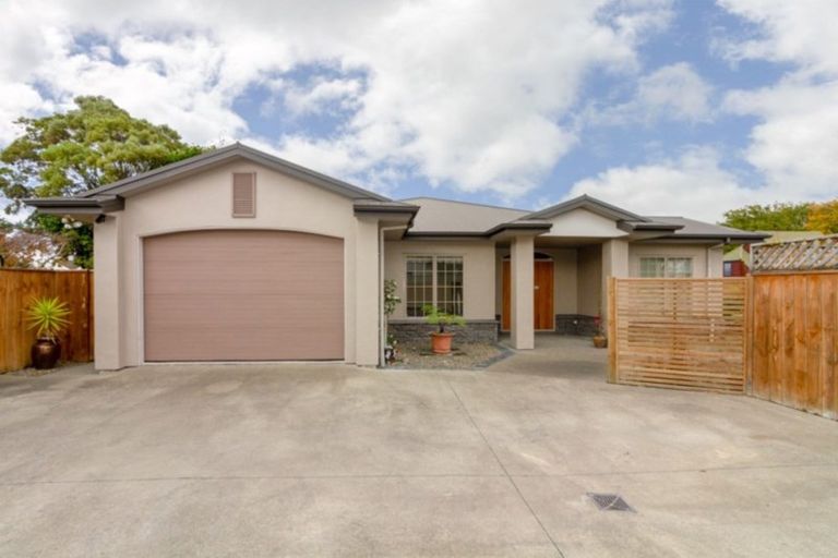 Photo of property in 21a Monckton Street, Feilding, 4702