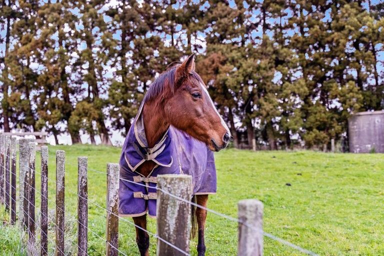 Photo of property in 447 Pinnacle Hill Road, Bombay, 2675