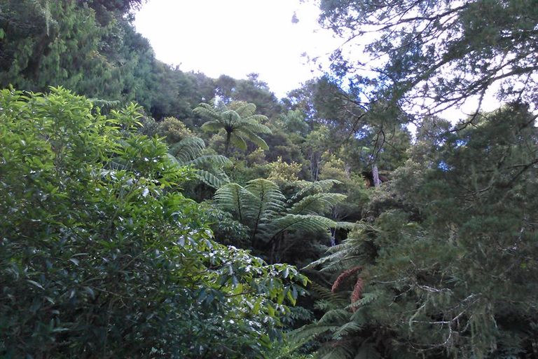 Photo of property in 29 North Ridge Rise, Maunu, Whangarei, 0179