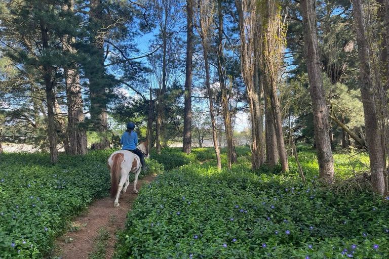 Photo of property in 2614 South Eyre Road, Eyrewell, Rangiora, 7476