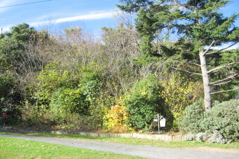 Photo of property in 48 Somerville Street, Andersons Bay, Dunedin, 9013