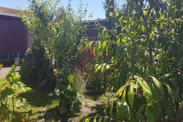 Photo of property in 44 Cobham Avenue, Dargaville, 0310