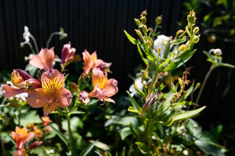 Photo of property in 7a Karamu Avenue, Takaro, Palmerston North, 4410