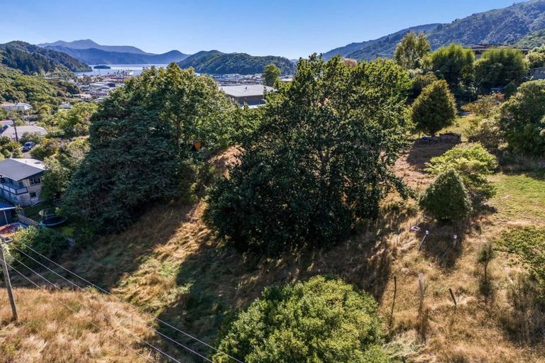 Photo of property in 19b Dorset Street, Picton, 7220