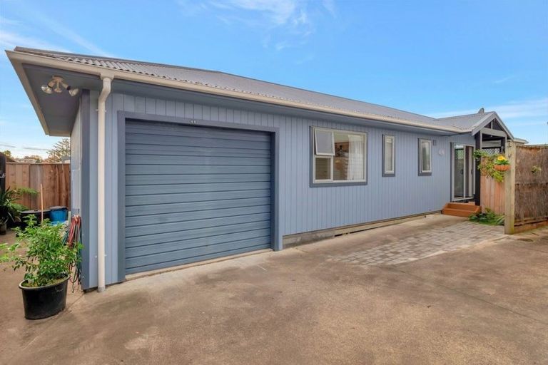 Photo of property in 65 Harrier Street, Parkvale, Tauranga, 3112