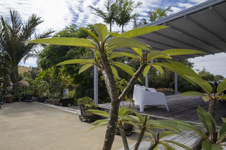 Photo of property in 6 Kaiwaka-mangawhai Road, Mangawhai, Kaiwaka, 0573