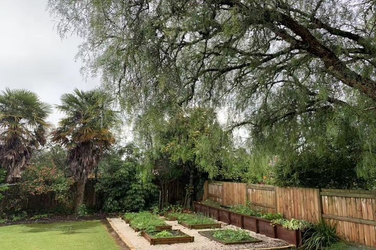 Photo of property in 84a Thornton Road, Cambridge, 3434