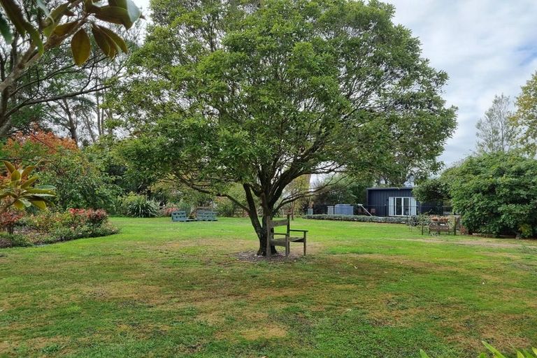 Photo of property in 38 Millard Avenue, Kuripuni, Masterton, 5810