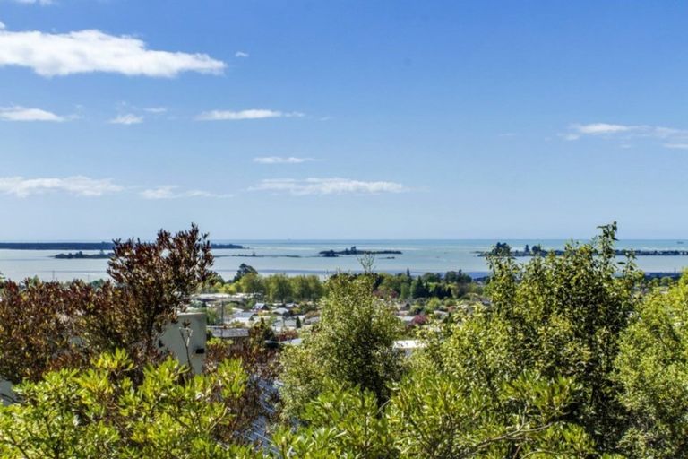 Photo of property in 28 Lodestone Road, Richmond, 7020