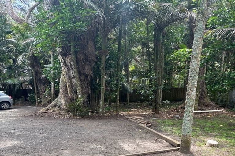 Photo of property in 88 Motutara Road, Muriwai, Waimauku, 0881