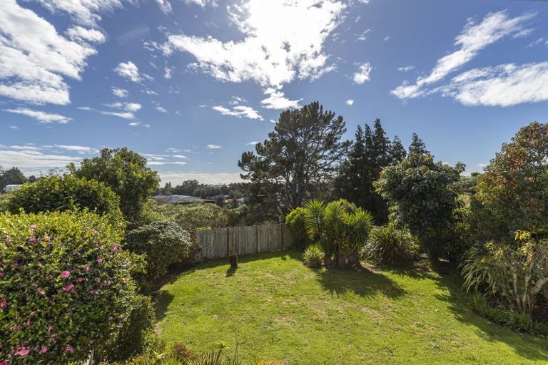 Photo of property in 19 Caledonia Place, Highlands Park, New Plymouth, 4312