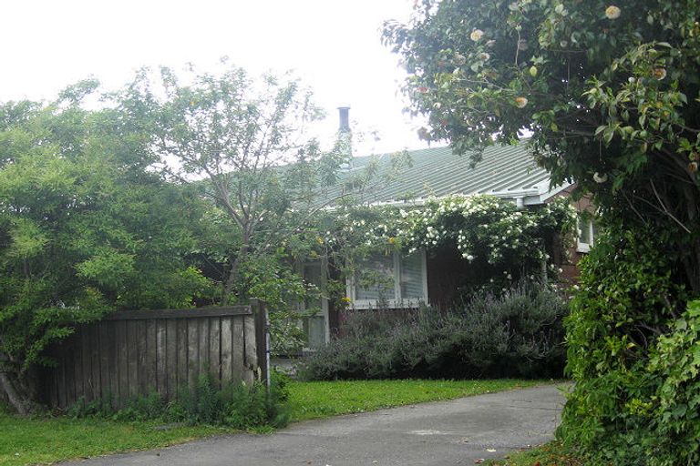 Photo of property in 5a Weld Street, Blenheim, 7201