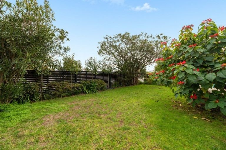 Photo of property in 17 Valley Road, Mount Maunganui, 3116