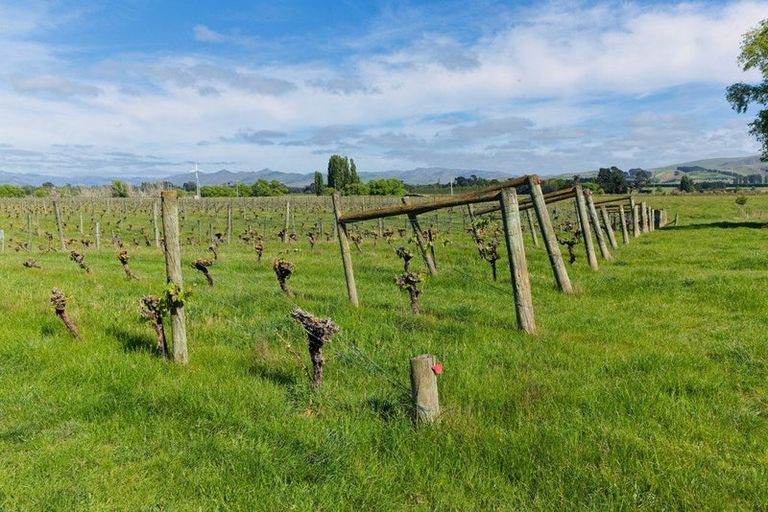 Photo of property in 35 Brighton Street, Island Bay, Wellington, 6023