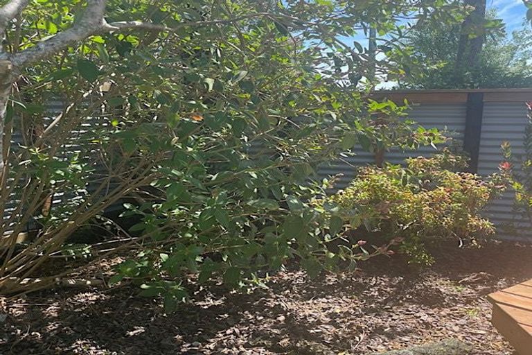 Photo of property in 37 Grey Street, Shannon, 4821