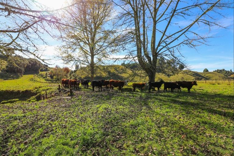 Photo of property in 75 Taranui Road, Ohura, 3926