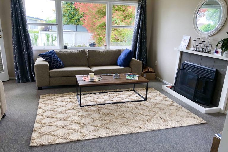 Photo of property in 17 The Drive, Brookfield, Tauranga, 3110