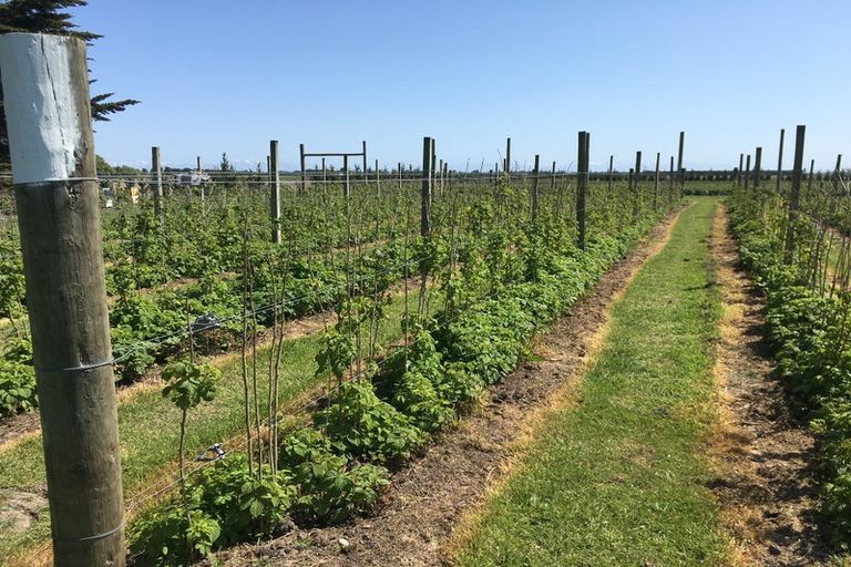 Photo of property in 63 Coopers Road, Leeston, 7682