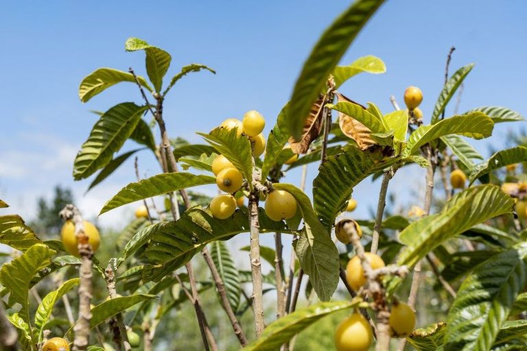 Photo of property in 85c Te Pahi River Drive, Paparoa, Maungaturoto, 0583