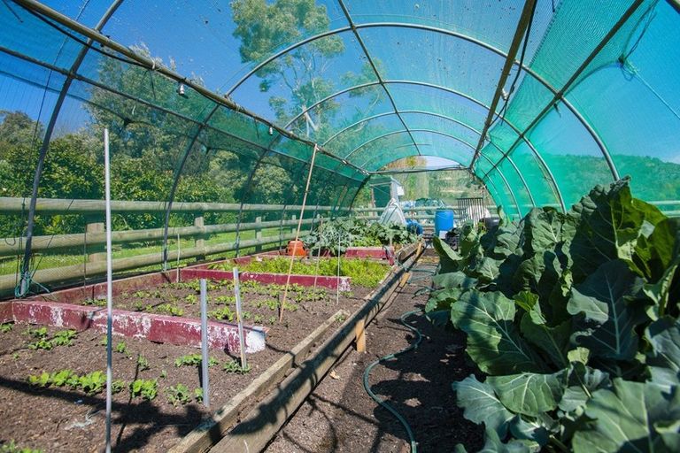 Photo of property in 191 Papatu Road, Manutuke, Gisborne, 4072