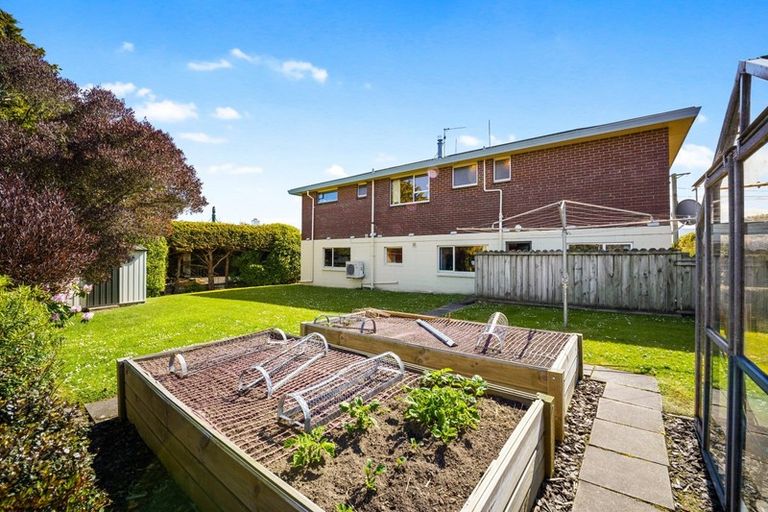 Photo of property in 168 Belford Street, Waverley, Dunedin, 9013