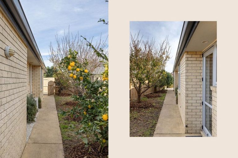 Photo of property in 17 Golden Courie Close, Papamoa Beach, Papamoa, 3118