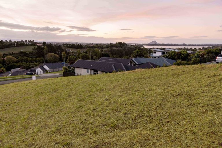 Photo of property in 17 Greenvale Place, Welcome Bay, Tauranga, 3112