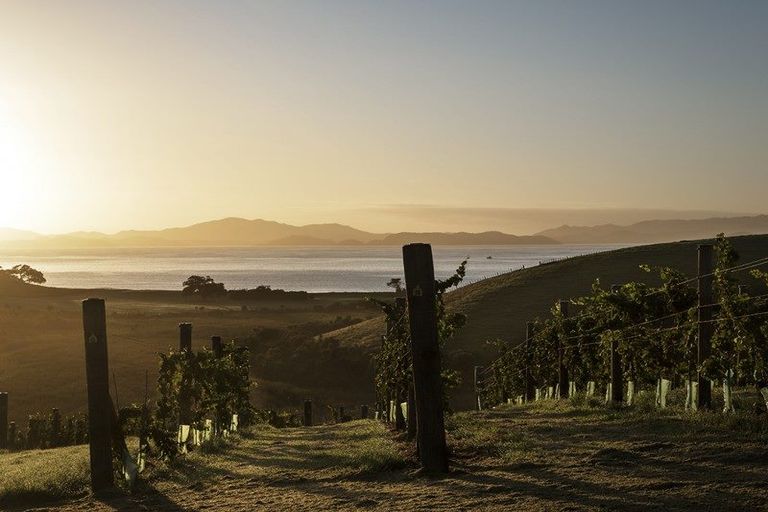 Photo of property in 192 Kerikeri Road, Kerikeri, 0230