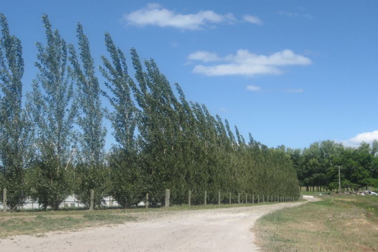 Photo of property in 265a Pongakawa Bush Road, Pongakawa, 3186