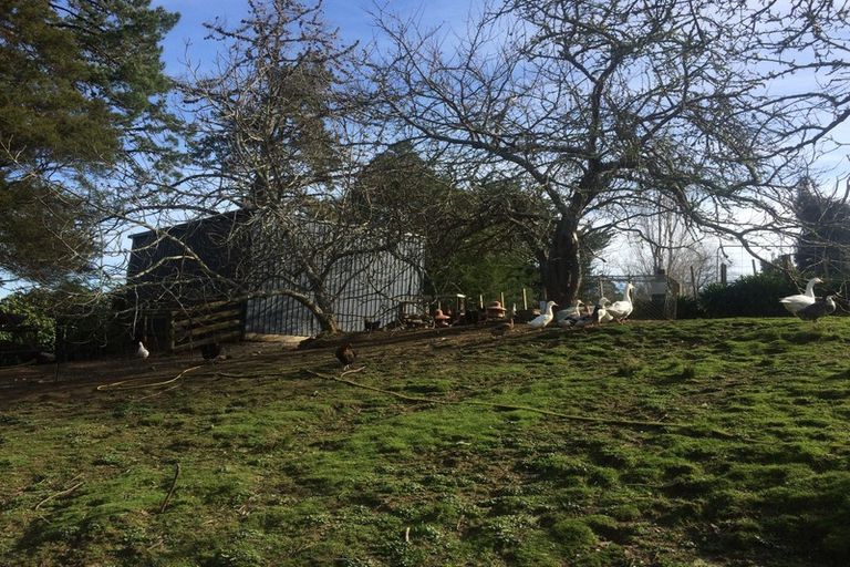 Photo of property in 57 Kauaeranga Valley Road, Thames, 3577