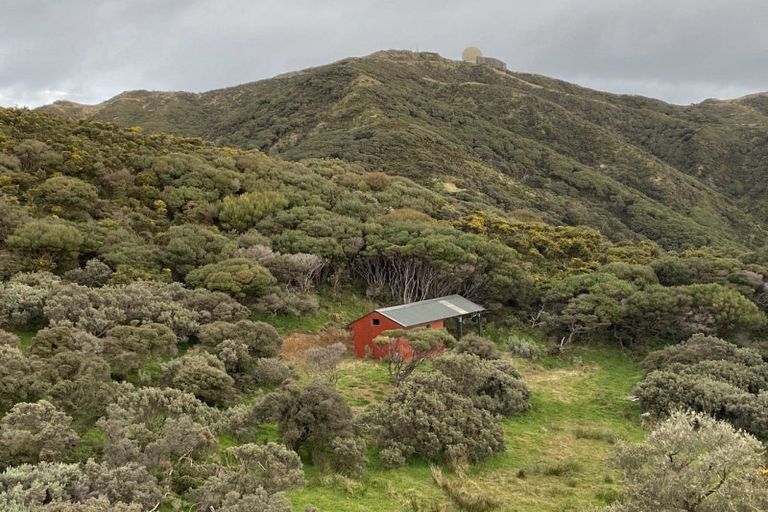 Photo of property in Long Gully, 380 Hawkins Hill Road, Brooklyn, Wellington, 6021