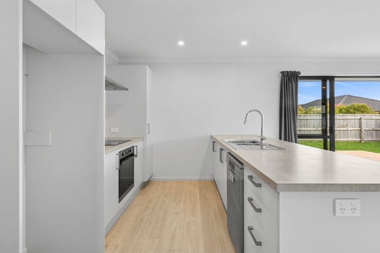 Photo of property in 39 Kahikatea Way, Appleby, Richmond, 7020