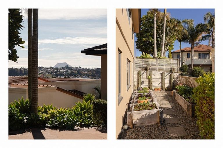 Photo of property in 30 La Cumbre Close, Bethlehem, Tauranga, 3110