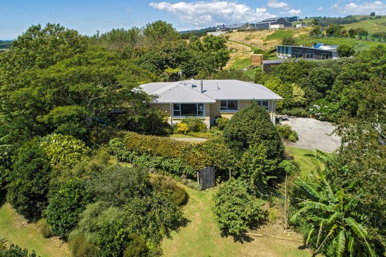 Photo of property in 29 Whakamarama Road, Whakamarama, Tauranga, 3179