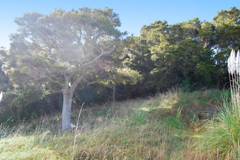 Photo of property in 542e Oneriri Road, Kaiwaka, 0573