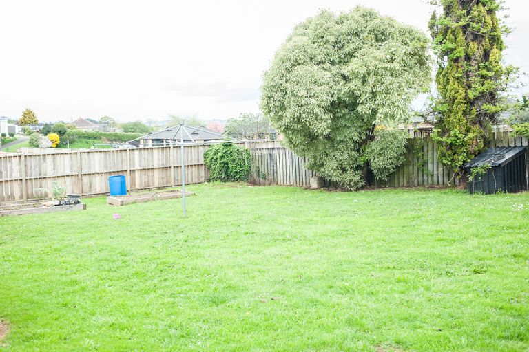 Photo of property in 205 Te Tomo Street, Te Awamutu, 3800