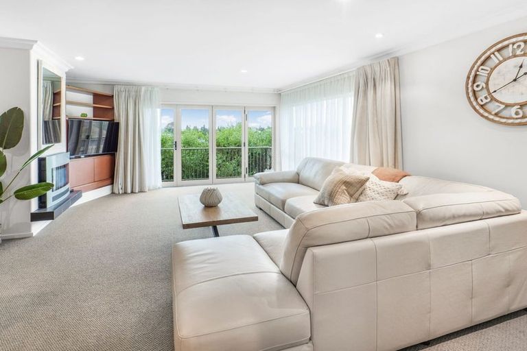 Photo of property in 20a Alison Street, Hamilton Lake, Hamilton, 3204