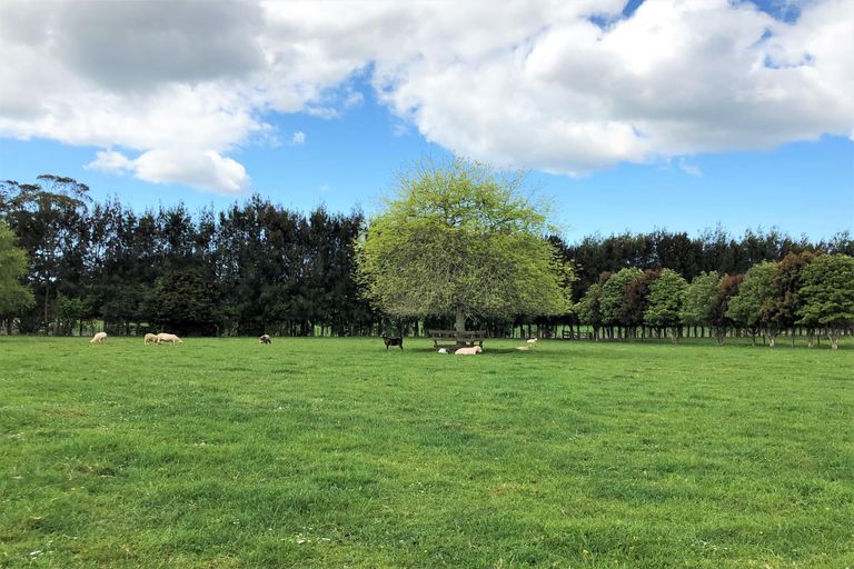 Photo of property in 71 Sandys Road, Waipapa, Kerikeri, 0295