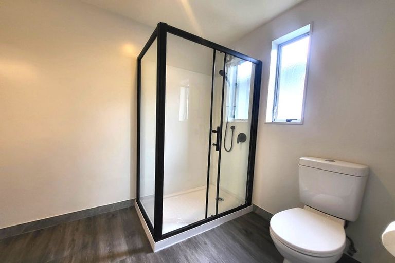 Photo of property in 356 Peachgrove Road, Fairfield, Hamilton, 3214