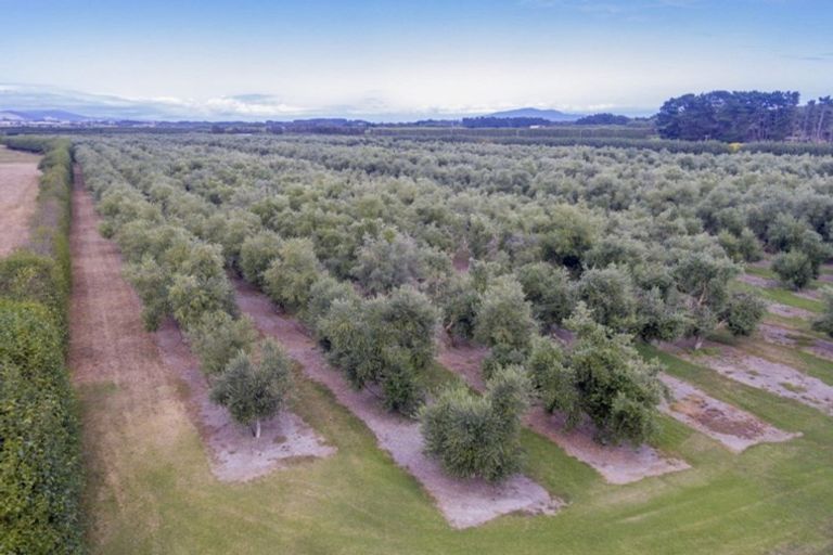 Photo of property in 22 Lethbridge Street, Feilding, 4702