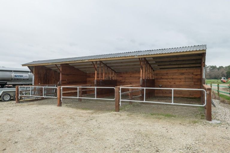 Photo of property in 117 Staples Street, Motueka, 7120