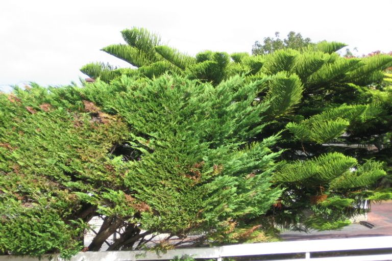 Photo of property in 15 Fairclough Road, Beach Haven, Auckland, 0626