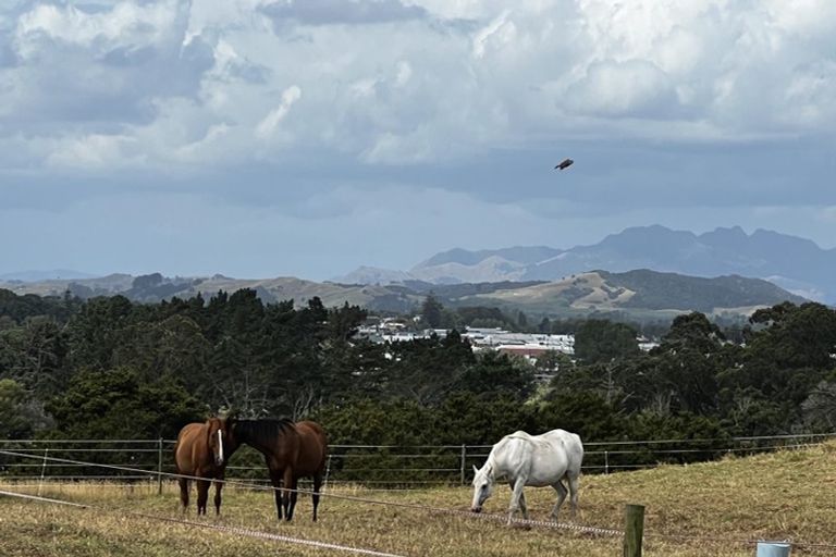 Photo of property in 123 Colville Road, Dargaville, 0377