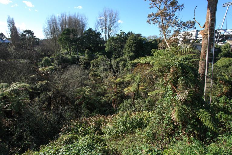 Photo of property in 20a Taniwha Street, Frankton, Hamilton, 3204